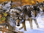 Wolves Family