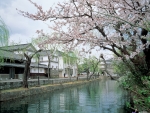 Kurashiki Bikan Historical Quarter