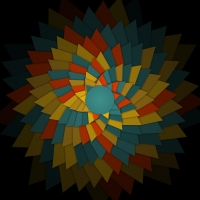 Flower of mixed colors