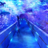 Aqua world