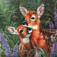 Sweet Fawns