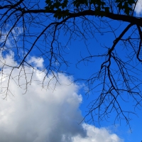 Lookng to the heavens