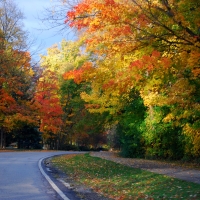 Driving along the Big Creek Rd