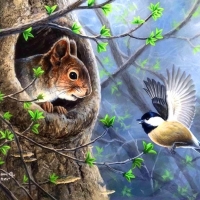 Green Buds of Spring