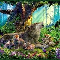 Wolf and Pups in the Woods