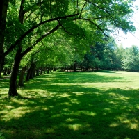 Walking into the Jesuit Retreat House property