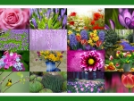 flower collage