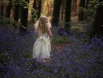 Bluebells