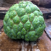 Custard apple