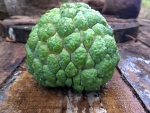 Custard apple