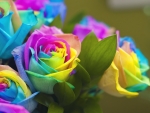 Bouquet of colorful roses
