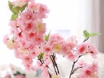 Soft pink flowers