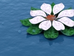 Floating Flower