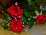 Red roses