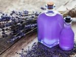 Lavender oil