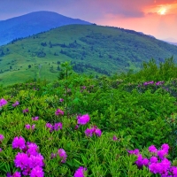 Green Mountains Vermont