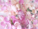 Fragrant rose oil