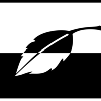 Black & White Leaf