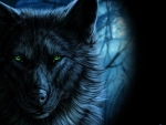 Muzzle of the Wolf in the Dark