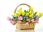 Spring Basket
