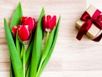 Red tulips