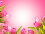 Pink background