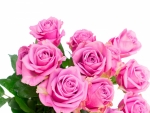 à¹‘Beautifulâœ¿Rosesà¹‘