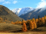 stunning fall season mountains