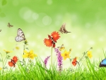 Spring Butterflies