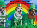 Saint Patrick's Day