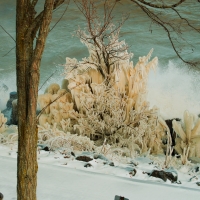 Ice sculptures on Lake Erie during a storm