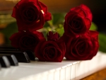 Roses in music