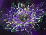 Fractal Flower
