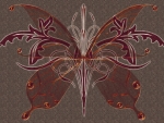 Abstract Butterfly