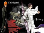 Shinigami and Quincy