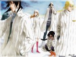 Bleach Winter
