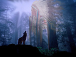 the spirit of the indian and wolf