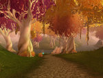 Autumn Fae Forest