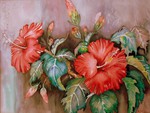 Rose Hibuscus Watercolour
