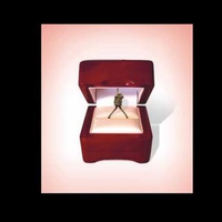 Engagement with Death