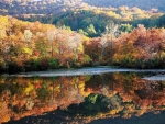 Autumn Reflection