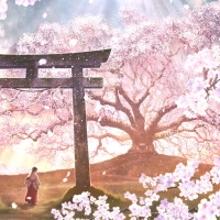 Sakura Dream
