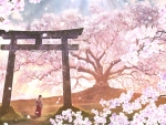 Sakura Dream