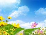 Spring Flowers And Grassy Meadow