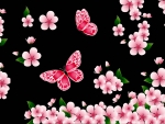 Blossoms and Butterflies