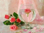 Glass with Roses