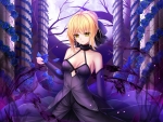 Saber Alter