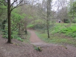 Woodland Walk
