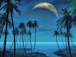 Night Moon Beach