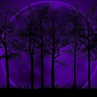 PURPLE MOON